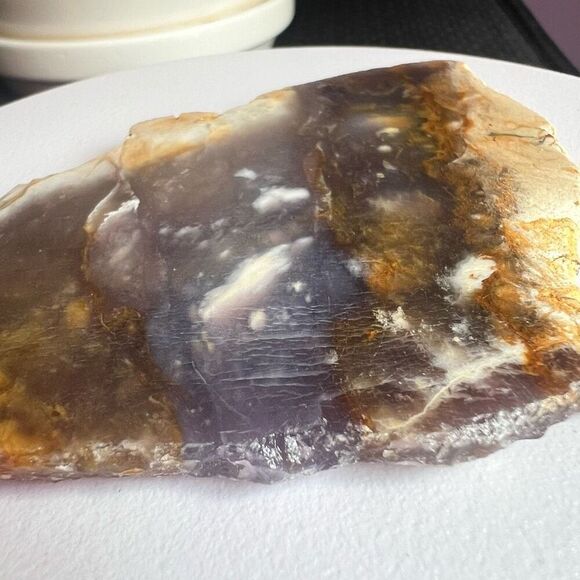Blue Petrified Wood Freeform Slab (4) - Picture 3 of 10